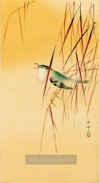 Japanische Werke - Singvogel in Schilf Ohara Koson Japanisch